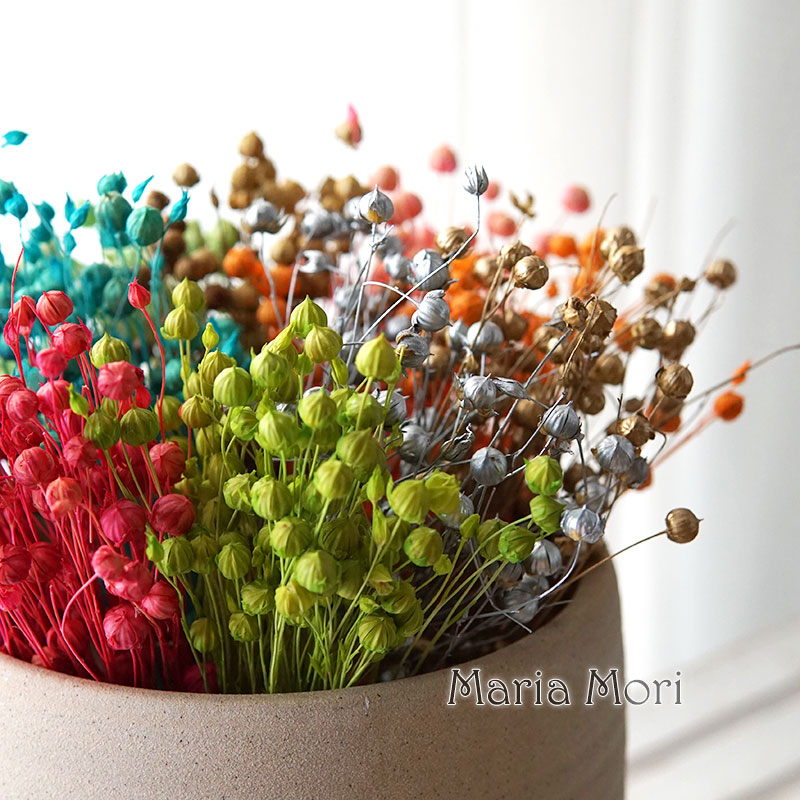 5g di fagioli di lino conserva - Dried Flower Bulk recensione e prezzo