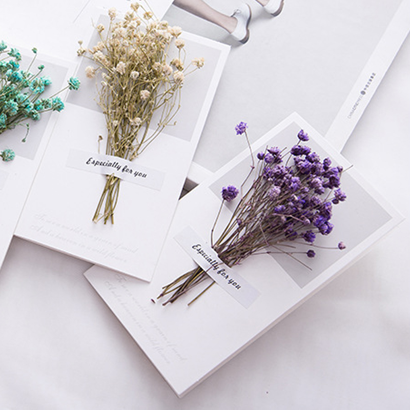 10 pezzi un biglietto regalo i - Dried Flower Bulk recensione e prezzo